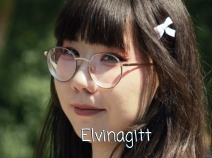 Elvinagitt