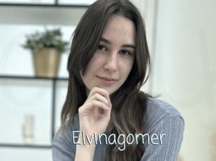 Elvinagomer