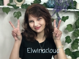 Elwinacloud