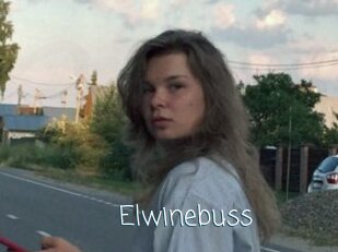 Elwinebuss