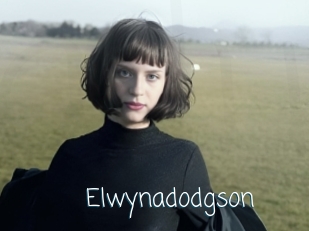 Elwynadodgson