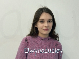 Elwynadudley
