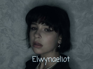 Elwynaeliot