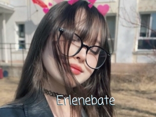 Erlenebate