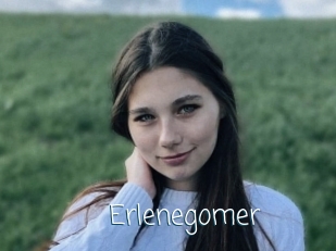 Erlenegomer