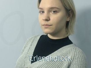 Erlenehallock