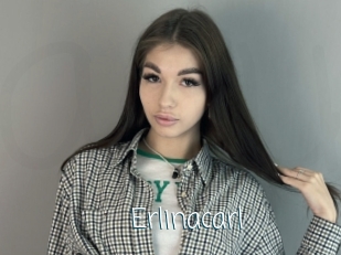 erlinacarl Adult o Porn