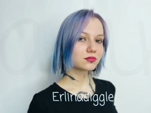 Erlinadiggle