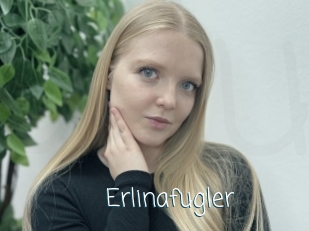 Erlinafugler