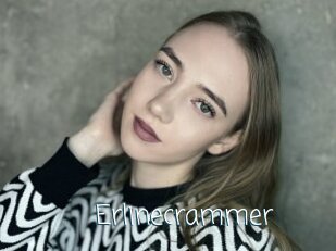 Erlinecrammer