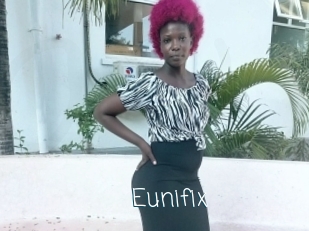 Eunifix