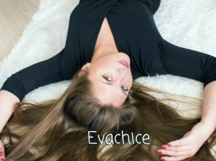 Evachice