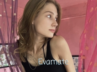 Evamate