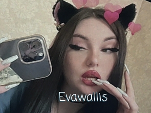 Evawallis