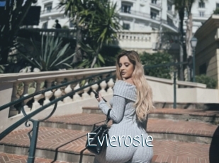 Evierosie