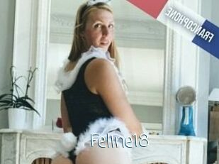 Feline18