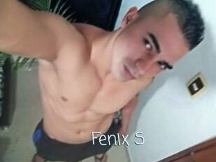 Fenix_S