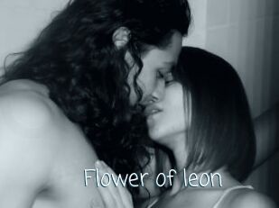 Flower_of_leon