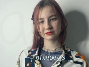 Felicebevis