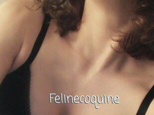 Felinecoquine
