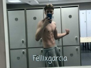 Fellixgarcia