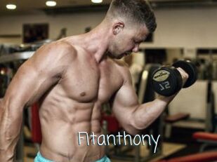 Fitanthony