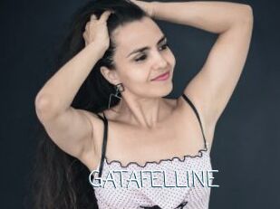 GATAFELLINE