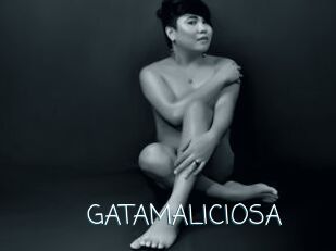 GATAMALICIOSA