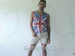 Gabilatino23