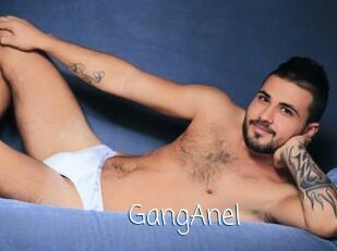 GangAnel