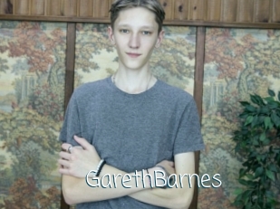 GarethBarnes