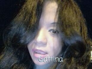 Gattina
