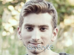 GayBoy55