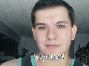 Gaymeboi