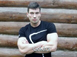 Gektor