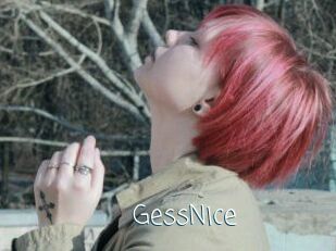 GessNice