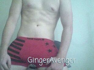 GingerAvenger