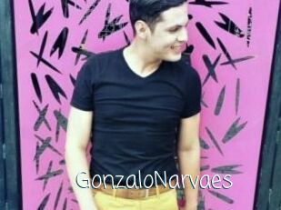 GonzaloNarvaes