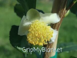 GripMyBlanket
