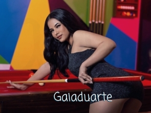 Gaiaduarte