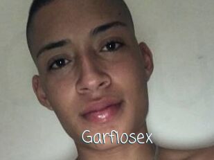 Garfiosex