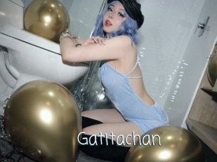 gatitachan Adult o Porn