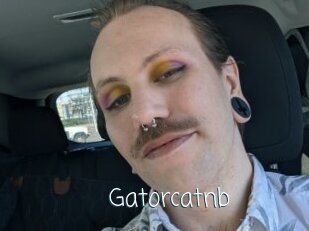 Gatorcatnb