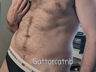 Gattorcatnb