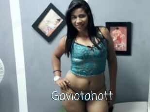 Gaviotahott