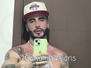 Gawainn_zeldris