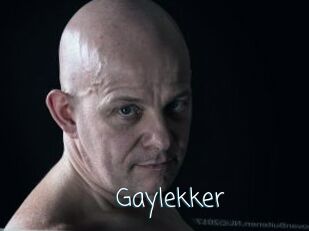 Gaylekker