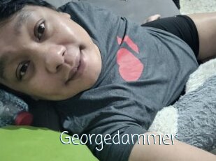 Georgedammer