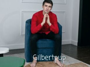 Gilbertpup