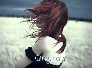 Gingercat